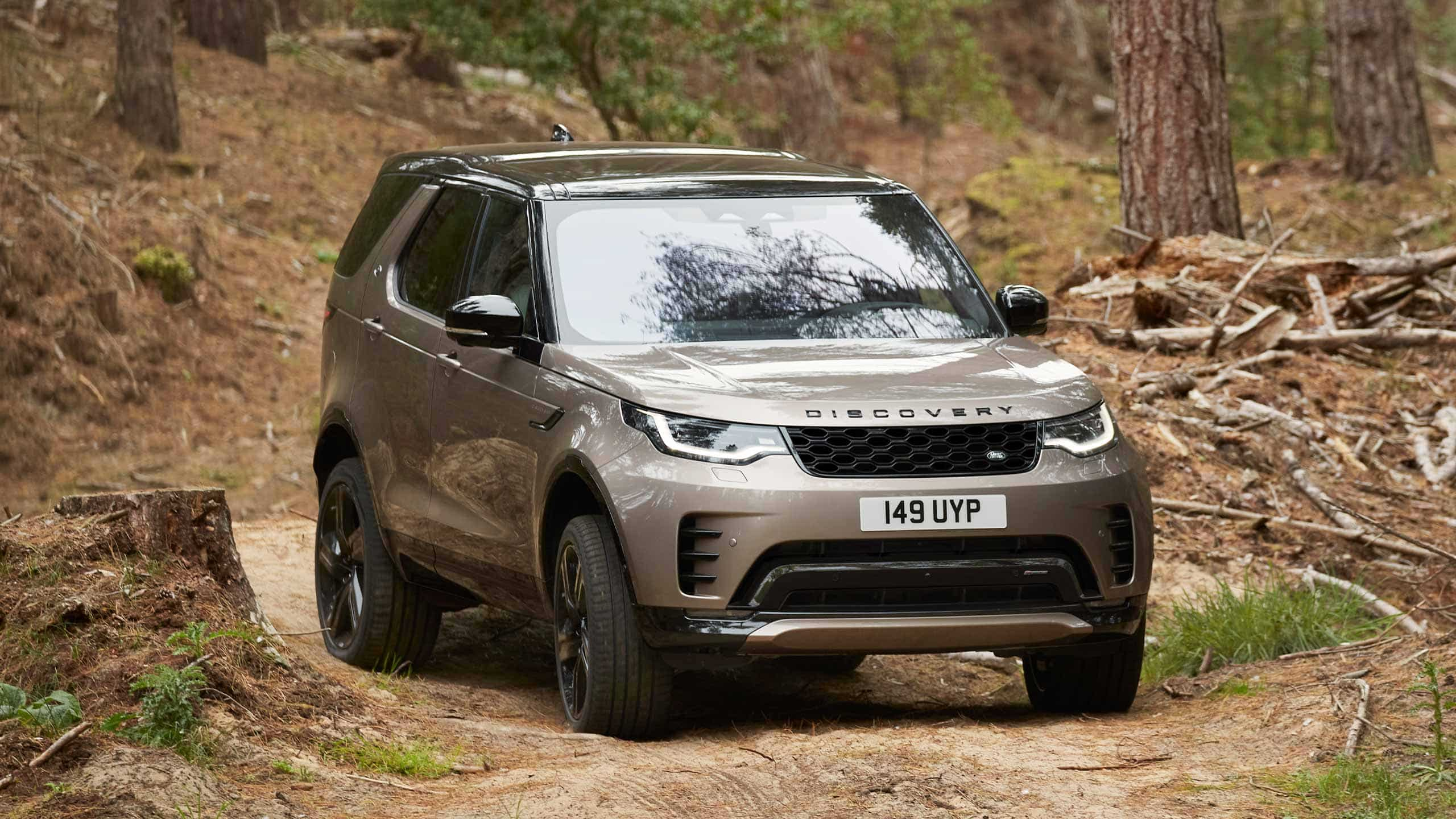 Defender parked up on a dirt track through the woods